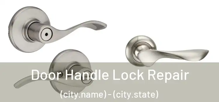 Door Handle Lock Repair (city.name) - (city.state)