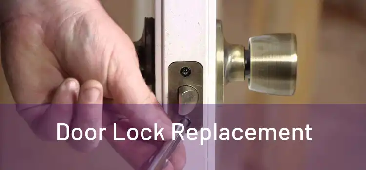  Door Lock Replacement 